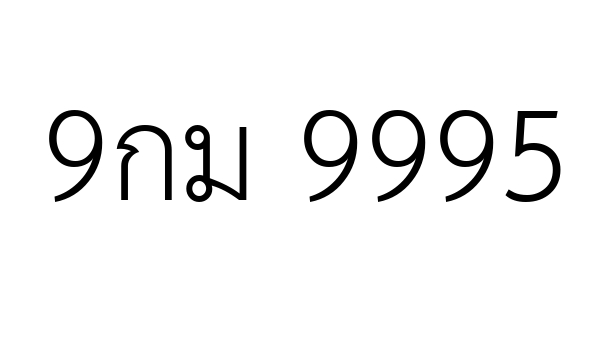 9กม 9995
